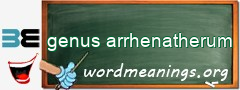 WordMeaning blackboard for genus arrhenatherum